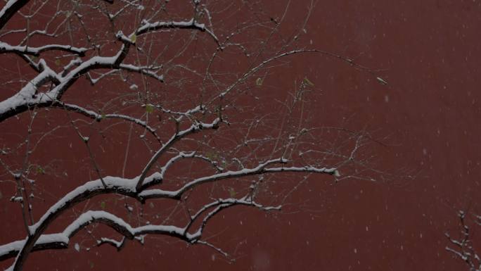 故宫红墙雪景故宫紫禁城红墙光影