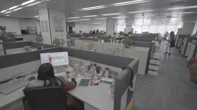 【1080p】办公室格子间工作的白领人群