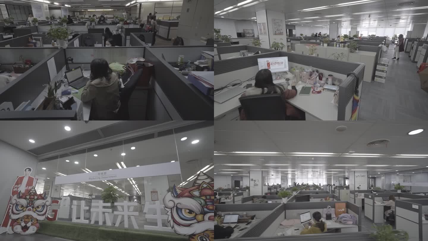 【1080p】办公室格子间工作的白领人群