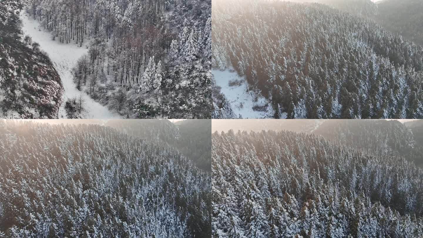 重庆武隆仙女山蓝天湖森林自然雪景航拍