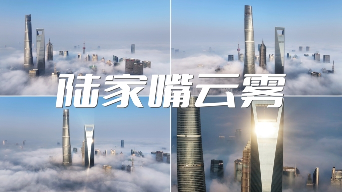 2024上海云海 平流雾 上海高度