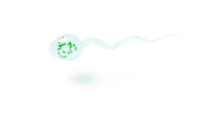玻璃精子与生物实验室的DNA基因能够无缝循环