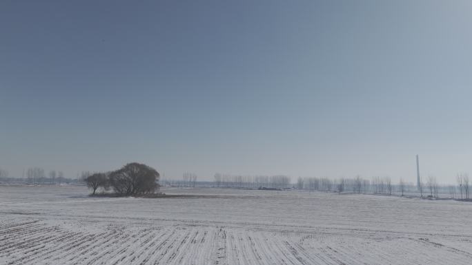 雪后农村田野景色航拍