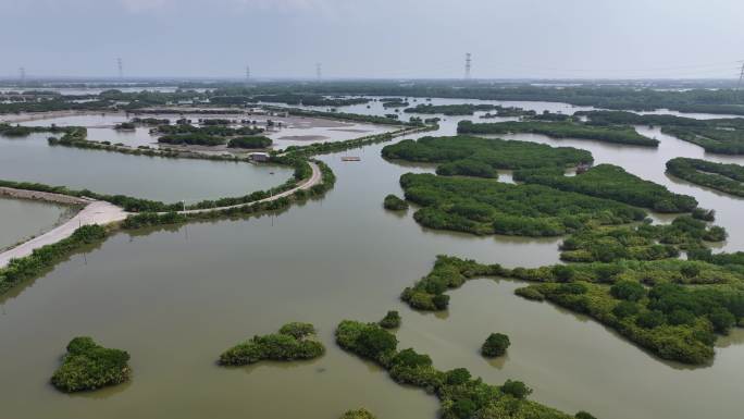 广东湛江红树林国家级自然保护区