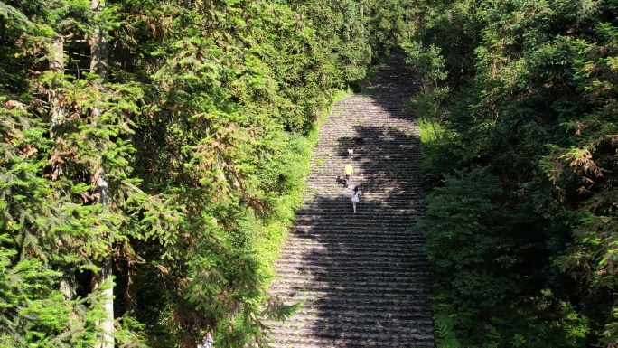 摩围山一对情侣游客 登梯子  登山