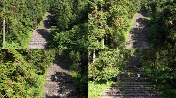 摩围山一对情侣游客 登梯子  登山