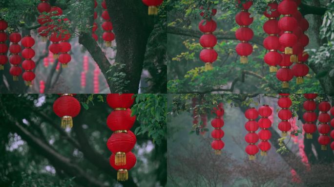 新春喜庆树枝上挂满红灯笼