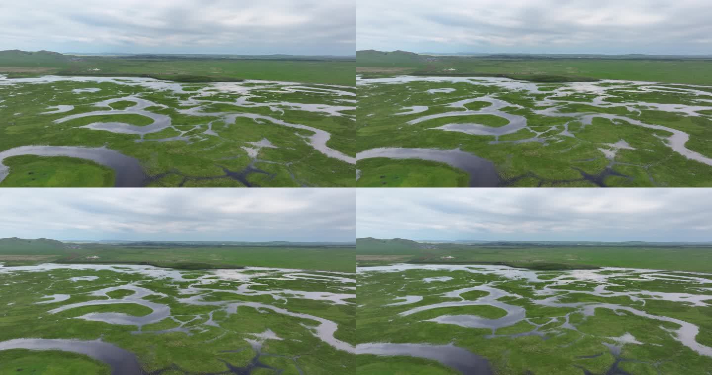 湿地 河流 航拍 卢纶贝尔 额尔古纳