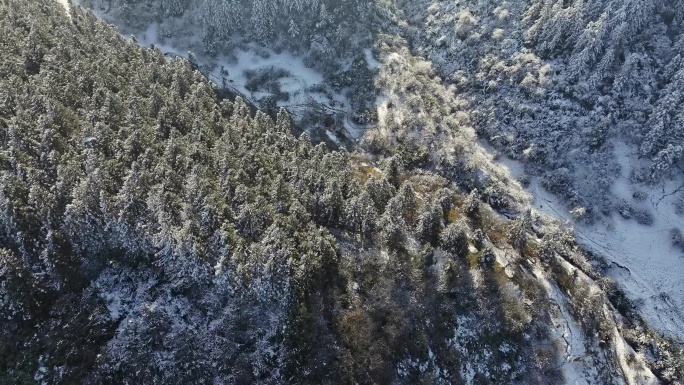 重庆武隆仙女山森林自然雪景航拍