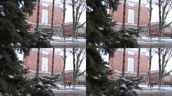 校园冬季雪景