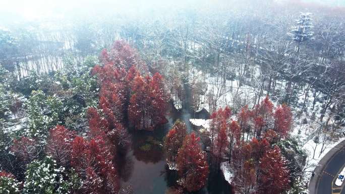 南京中山陵燕雀湖冬季航拍4k