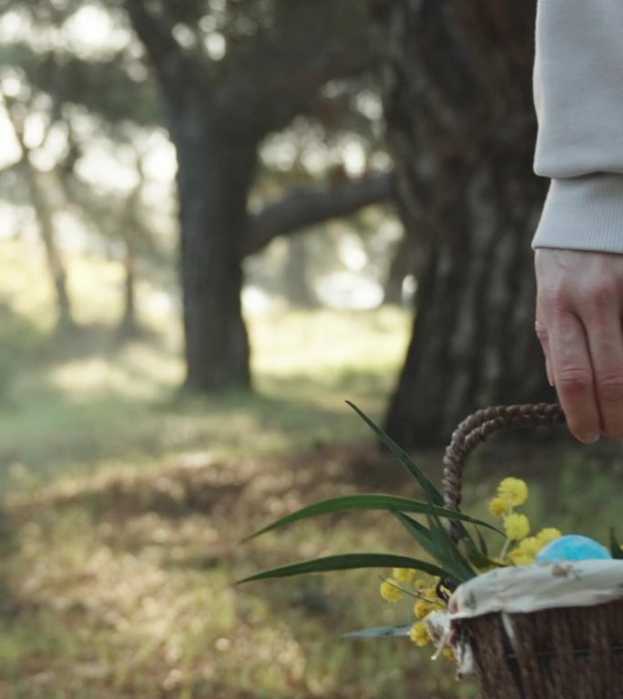 垂直视频。一个穿白衣的女人站在森林里，手里摇着一个装满复活节彩蛋的篮子。阳光穿过前面的树林。