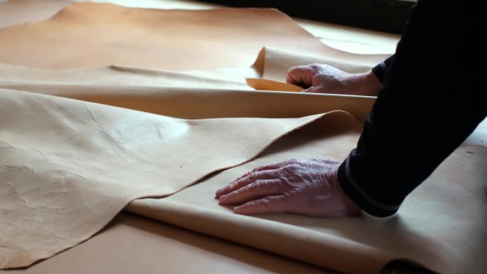 经验丰富的老皮革工人自豪地展示了他的各种优质，彩色的天然皮革卷，说明了皮革行业对质量和艺术性的奉献。