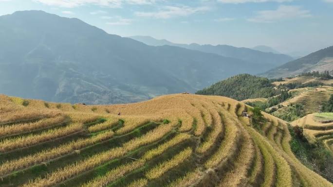 广西梯田少数民族森山风景航拍