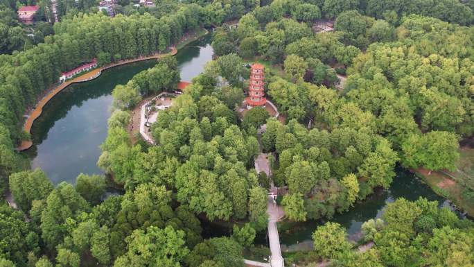 武汉解放公园全景绿化航拍4k