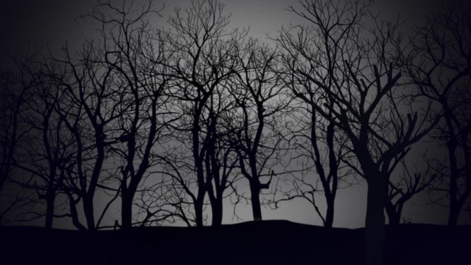 黑暗天空下的神秘森林