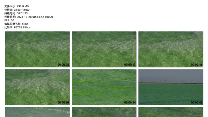 4K视频 察尔汗盐湖的翠绿水世界