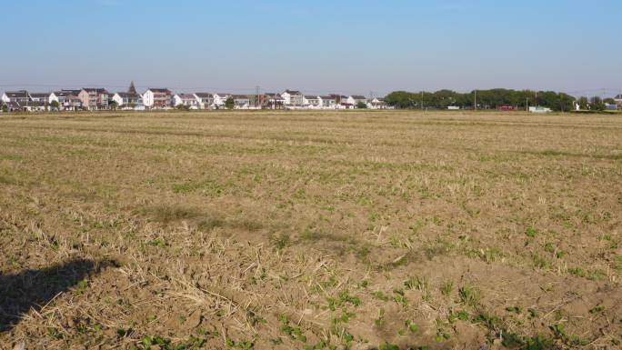 北联村航拍 航拍田地_10