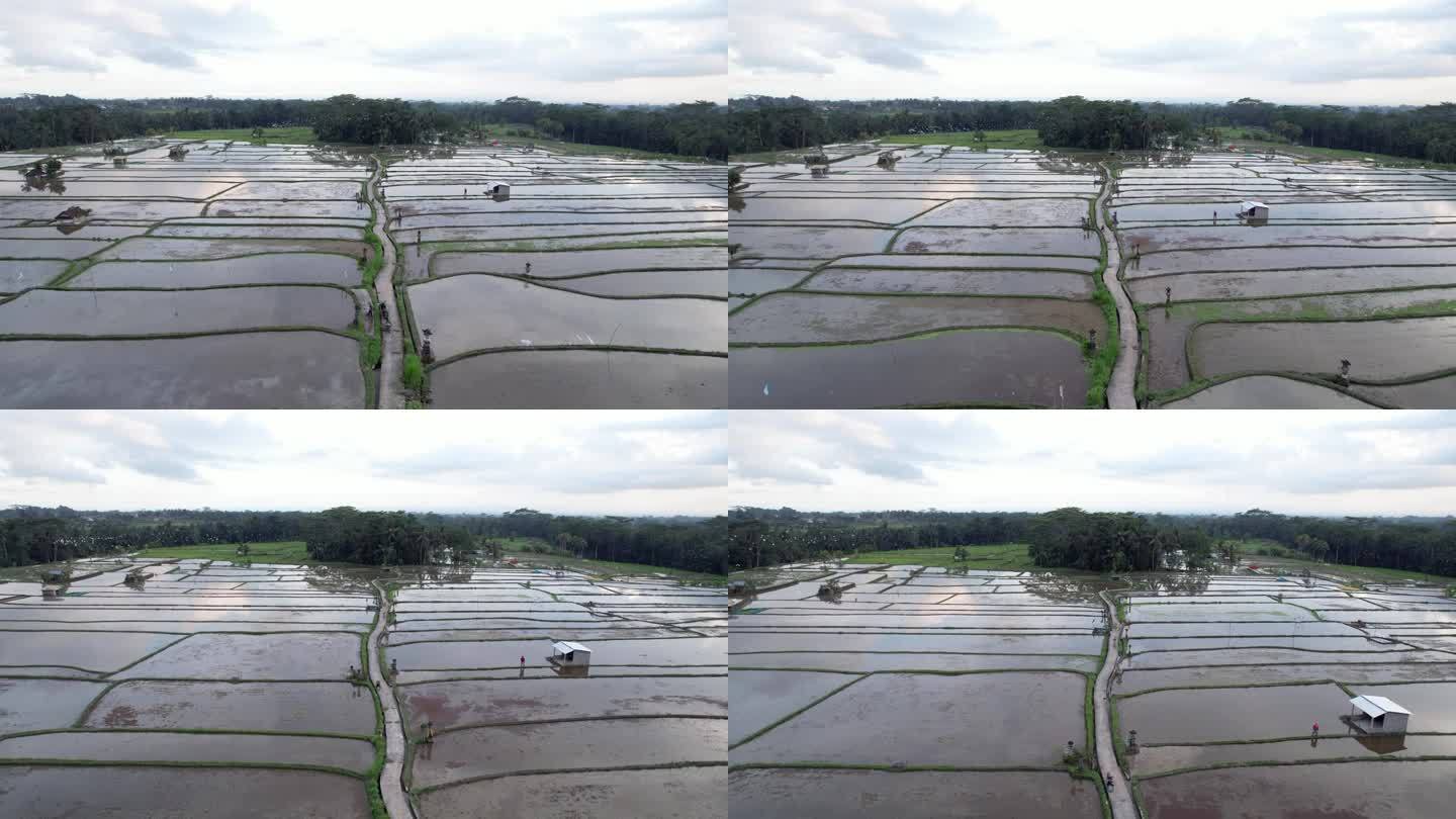 许多空旷和淹水的稻田，庄稼收割后的耕地