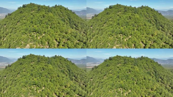 地貌 火山 地理 腾冲 火山景区 人文