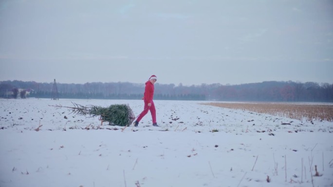 一名男子拉着雪橇，在白雪覆盖的土地上放着圣诞树