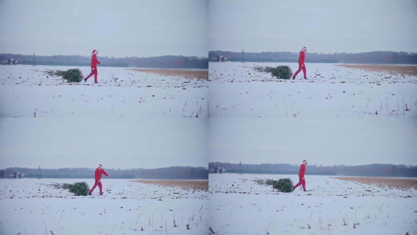 一名男子拉着雪橇，在白雪覆盖的土地上放着圣诞树