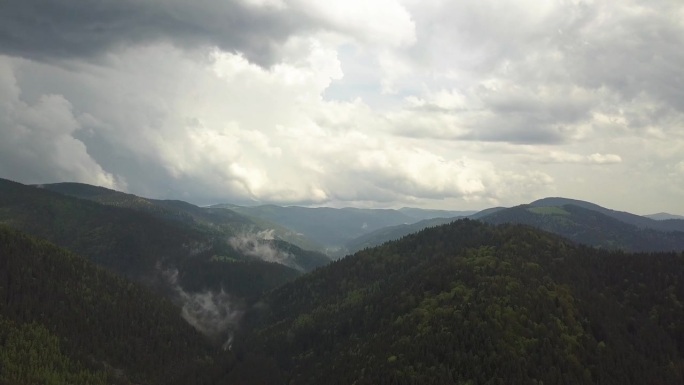 在多云的夏季，高高的山上覆盖着绿色的云杉林