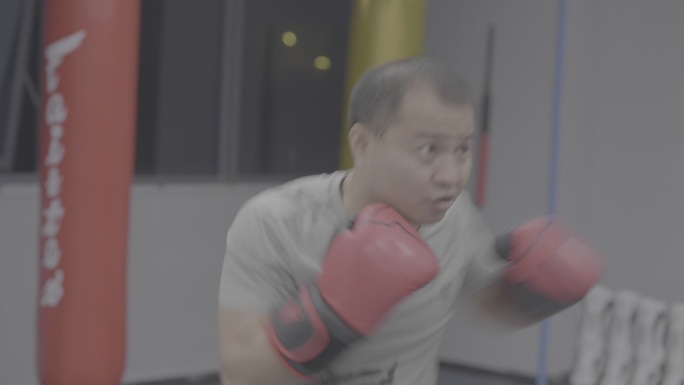 武术 跆拳道 打拳 擂台 训练 教育培训