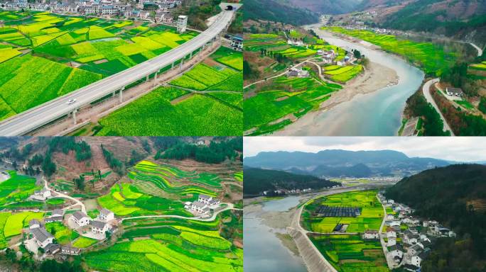 汉中油菜花田地航拍