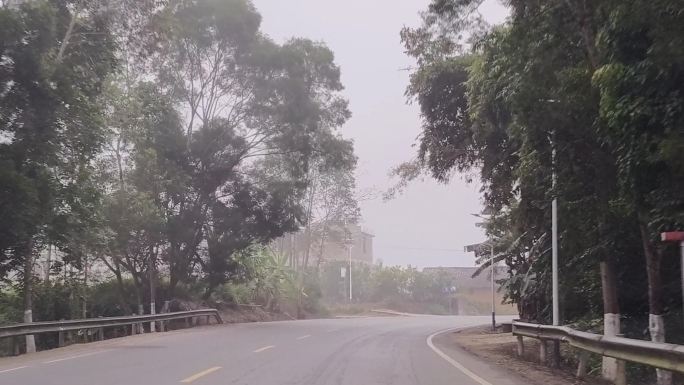 道路早晨晨雾雾天开车雾灯闪烁雾灯公路雾树