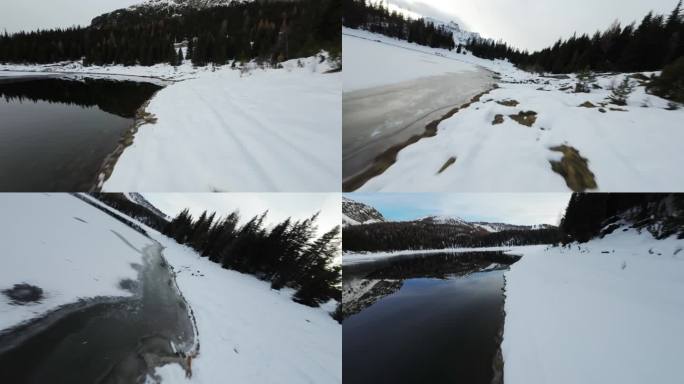 Lago Palù空中fpv视图跟随雪林海岸线加速穿越冰冻的山谷湖泊