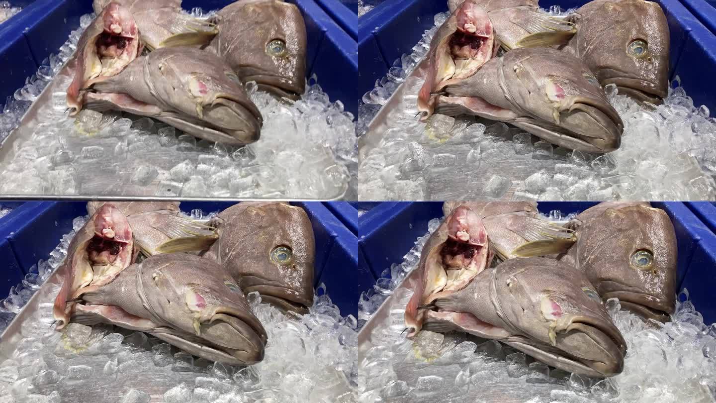 海鲜市场出售的石斑鱼
