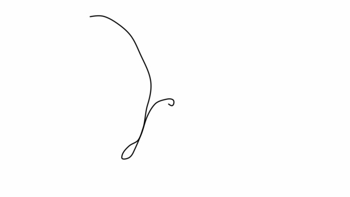 自绘简单动画，单个连续的单线绘制飞行蝴蝶。用手画的，白色背景上的黑线
