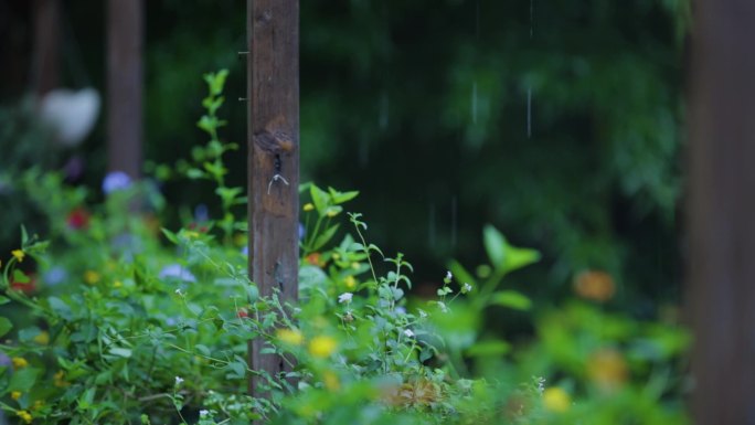 唯美民宿雨季大自然天然氧吧绿色生态立夏