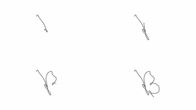 自绘简单动画，单个连续的单线绘制飞行蝴蝶。用手画的，白色背景上的黑线。