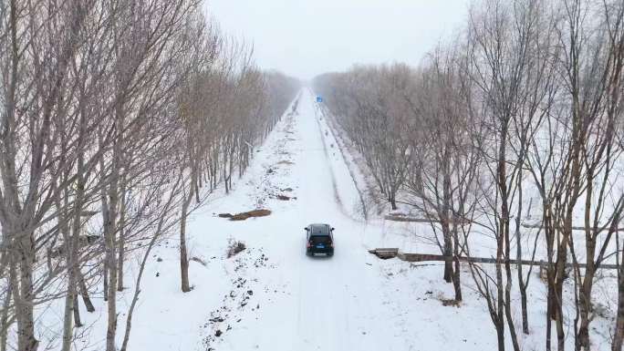 汽车行驶在辽河大堤冰天雪地林中