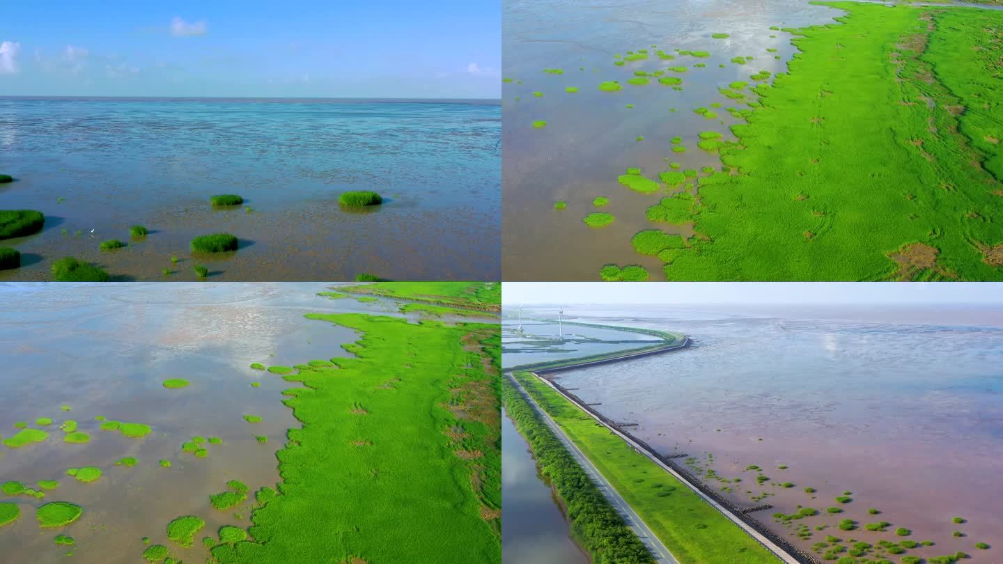 大丰日出海湾