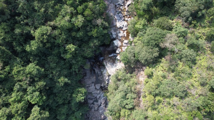 【正版素材】山泉溪流溪水水源山间流水溪涧