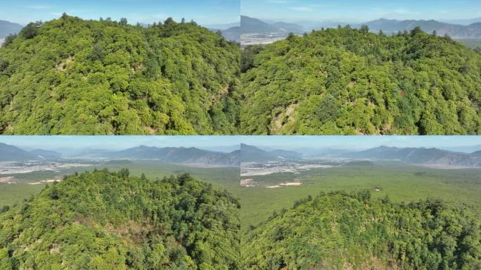 地貌 火山 地理 腾冲 火山景区 人文