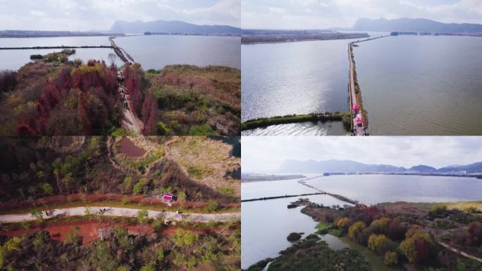 滇池湖畔景观建设