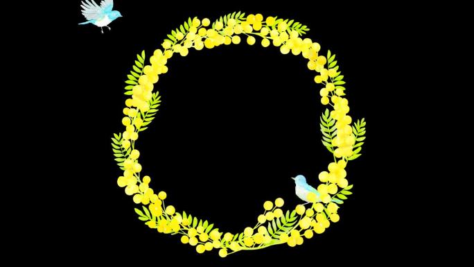 一个可爱的循环动画与阿尔法，其中小鸟出现在含羞草花环。