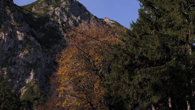 阳光洒在岩石上。秋天的颜色在树上