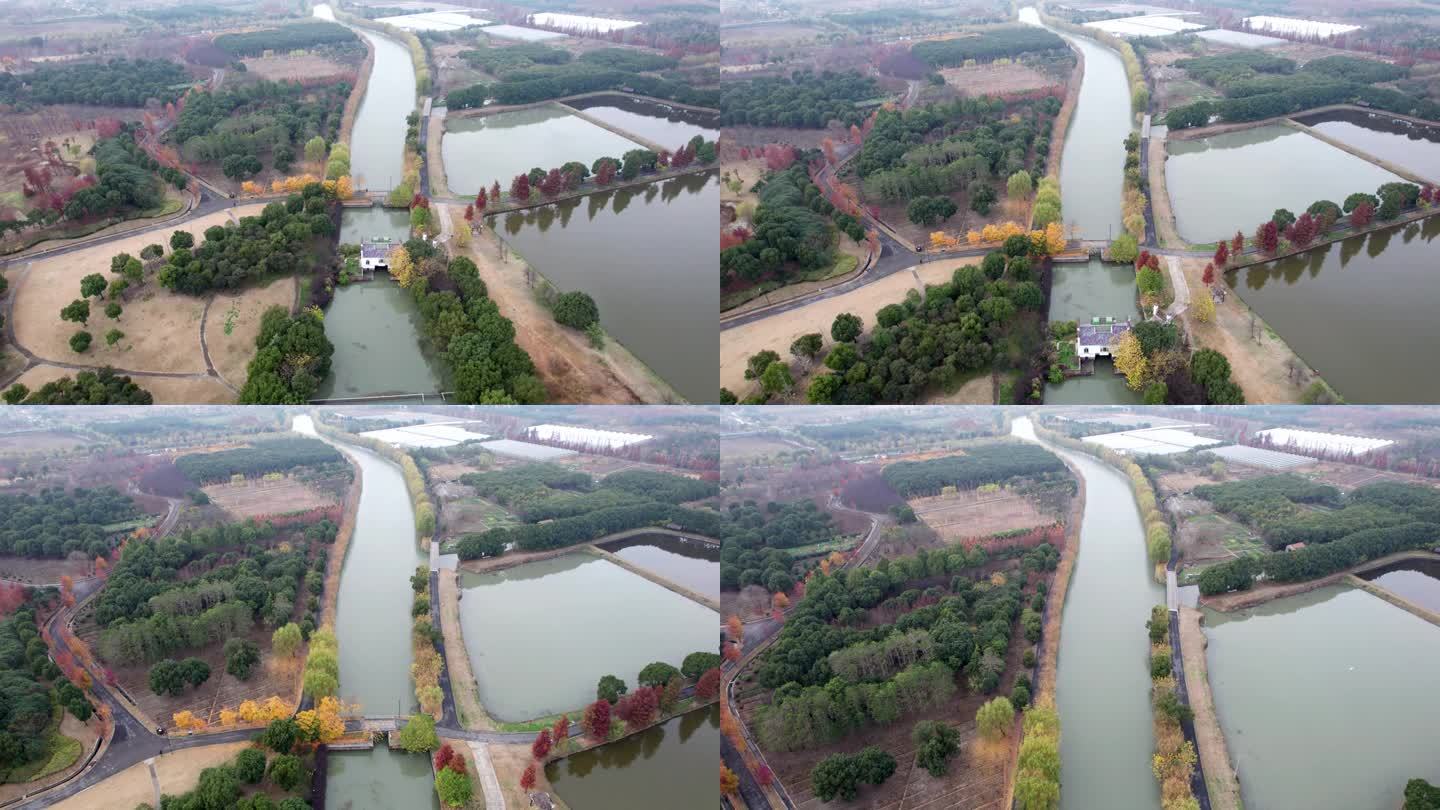无人机拍摄上海市松江区广富林乡村公园美景，4k实时画面，高角度视角。