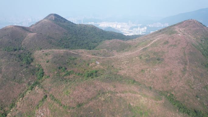 【正版素材】香港红花岭