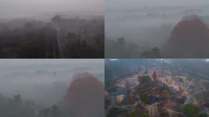 南京 伴随着晨雾的明孝陵景区