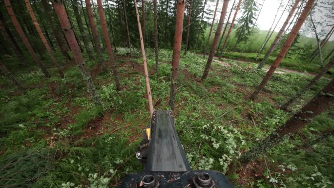 POV吊杆从收割机在北欧森林工作，拍摄与大疆Osmo行动4