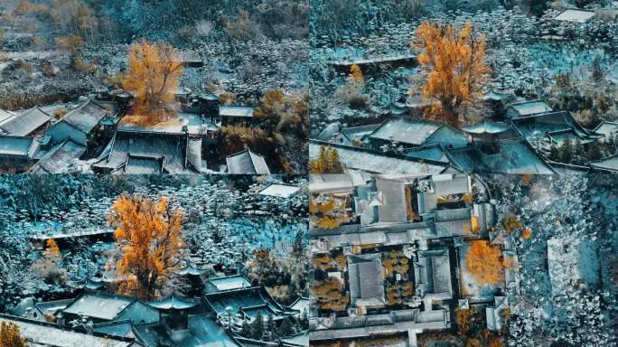 航拍西安古观音禅寺银杏树雪景