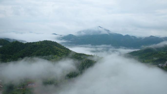 晨雾 日出 云雾 森林 梯田 航拍4K