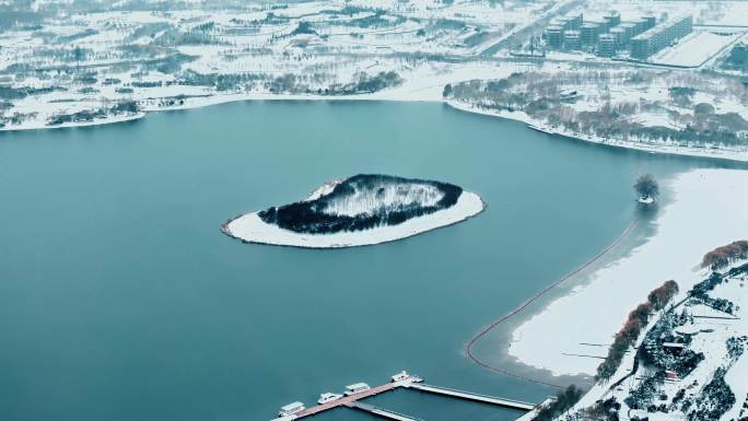 湿地公园雪景