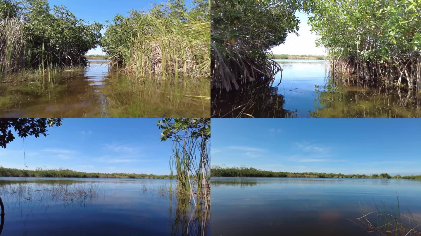 下午在佛罗里达大沼泽地国家公园的九英里池塘划皮艇。